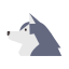 Dog Sledding